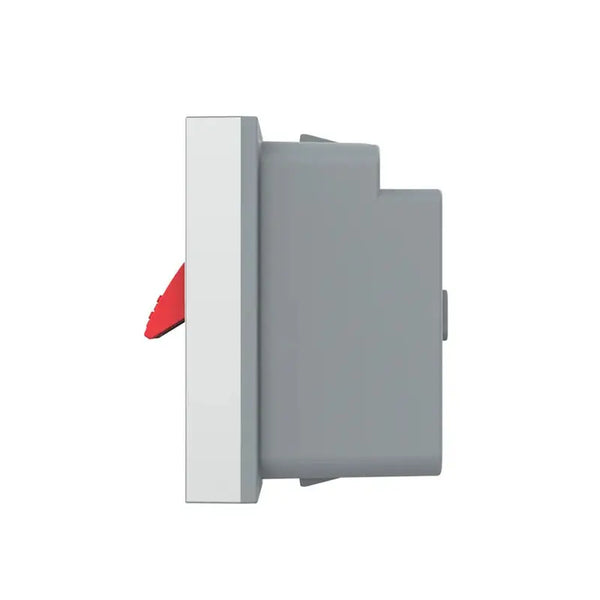 Livolo | Grijs | SR | Enkel | Audio | Insteek Livolo Nederland B.V.