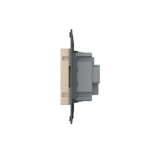 Livolo | Goud | SR | Module | Wandcontactdoos | Zonder randaarde Livolo Nederland B.V.