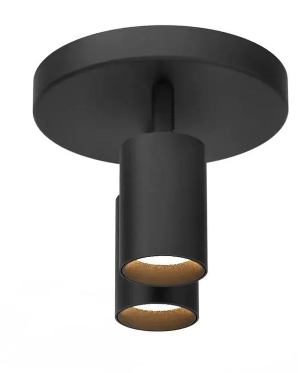 Plafondlamp | Zwart | 2 | LED spot | Rond | Verstelbaar Livolo Nederland B.V.
