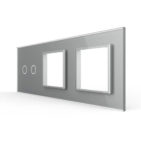 Livolo | Grijs | 2+SR+SR | Glasplaat | Combinatie Livolo Nederland B.V.