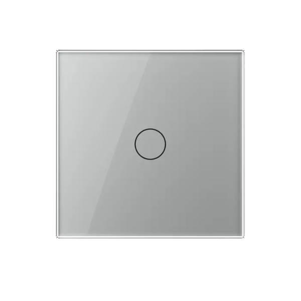 Livolo | Grijs | 1 | Dimmer | Smart Home Livolo Nederland B.V.