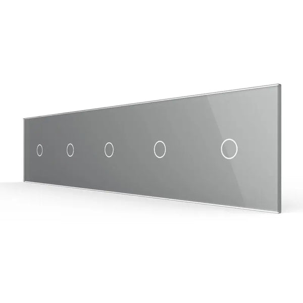 Livolo | Grijs | 1+1+1+1+1 | Glasplaat | Touchschakelaar Livolo Nederland B.V.