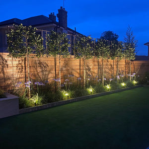 Tuin verlichting Livolo