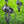 Complete Tuinspot Set | Tuinverlichting 12V | Plug and Play | 6 Tuinspots | Warm/wit Livolo Nederland B.V.