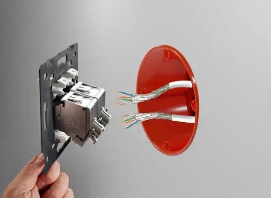 Livolo | Goud | SR | Enkel | Netwerk - RJ45 | Cat.6A Livolo Nederland B.V.