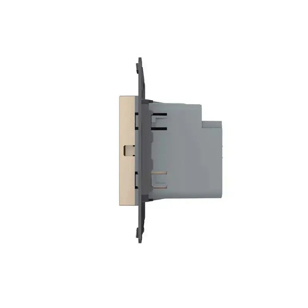 Livolo | Goud | SR | Module | Aan/Uit | Dubbel | Wisselschakelaar | Smart Home