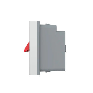 Livolo | Grijs | SR | Audio insteek | Audio insteek Livolo Nederland B.V.