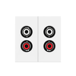 Witte dubbele RCA tulp audio aansluiting voor twee analoge stereo verbindingen in de wand