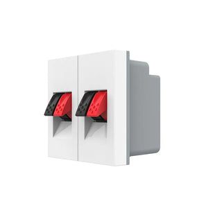 Witte dubbele audio insteekmodule voor nette wandmontage van luidsprekerbekabeling