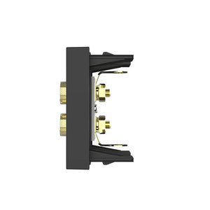 Livolo | Zwart | SR | Audio- Banaan stekker | Blindplaat Livolo Nederland B.V.