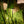 Staande prikspot | Tuinverlichting 12V | Plug and Play |  IP54 | Warm/wit Livolo Nederland B.V.