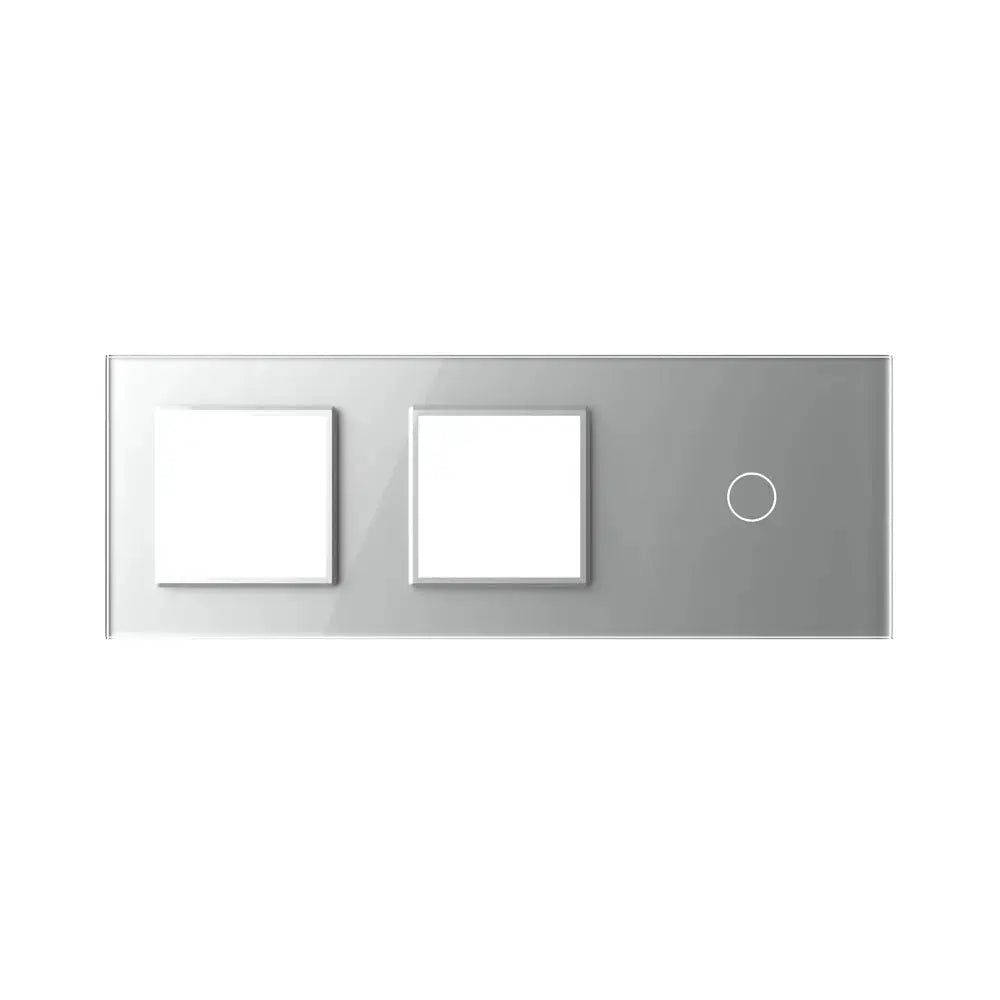 Drievoudige grijze glasplaat voor twee modulaire posities en een enkele touchschakelaar