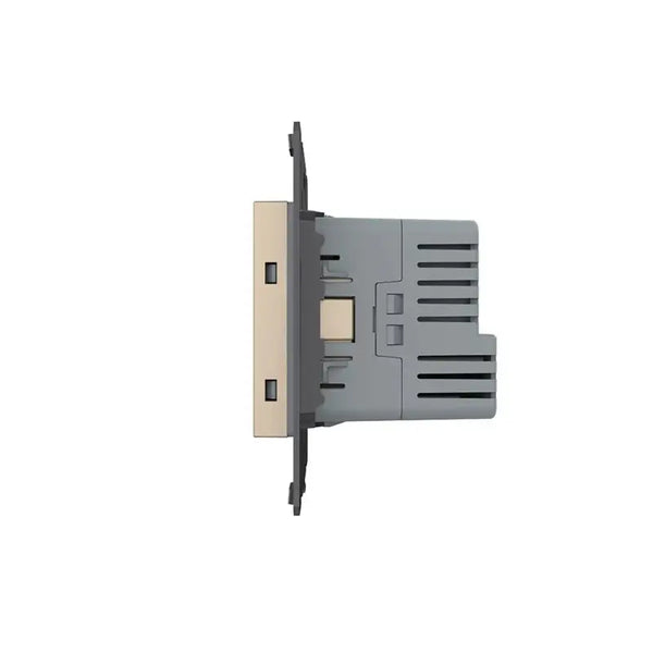 Livolo | Goud | SR | Module | Wandcontactdoos + USB-C Oplader Livolo Nederland BV