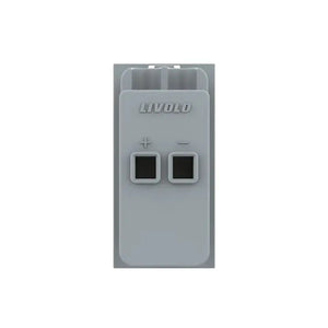 Livolo | Goud | SR | Enkel | Audio | Insteek Livolo Nederland B.V.