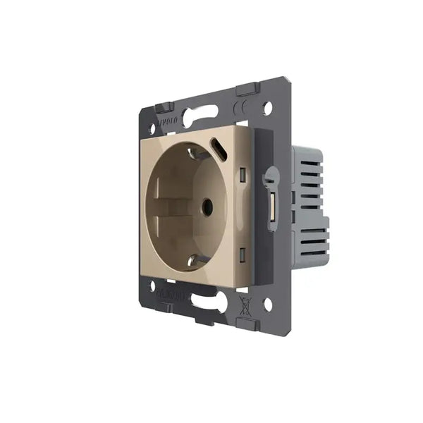 Livolo | Goud | SR | Module | Wandcontactdoos + USB-C Oplader Livolo Nederland BV