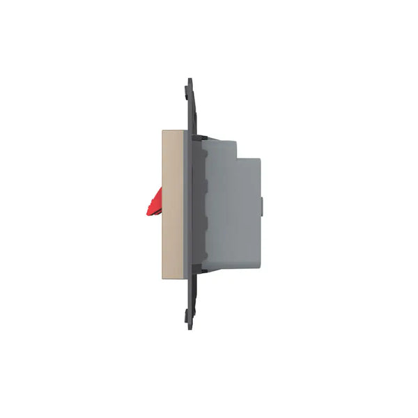 Livolo | Goud | SR | Audio insteek | Audio insteek Livolo Nederland B.V.