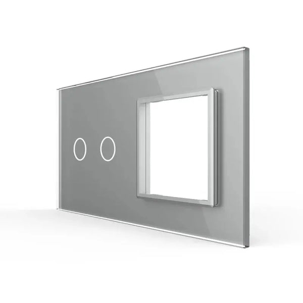 Livolo | Grijs | 2+SR | Glasplaat | Combinatie Livolo Nederland B.V.